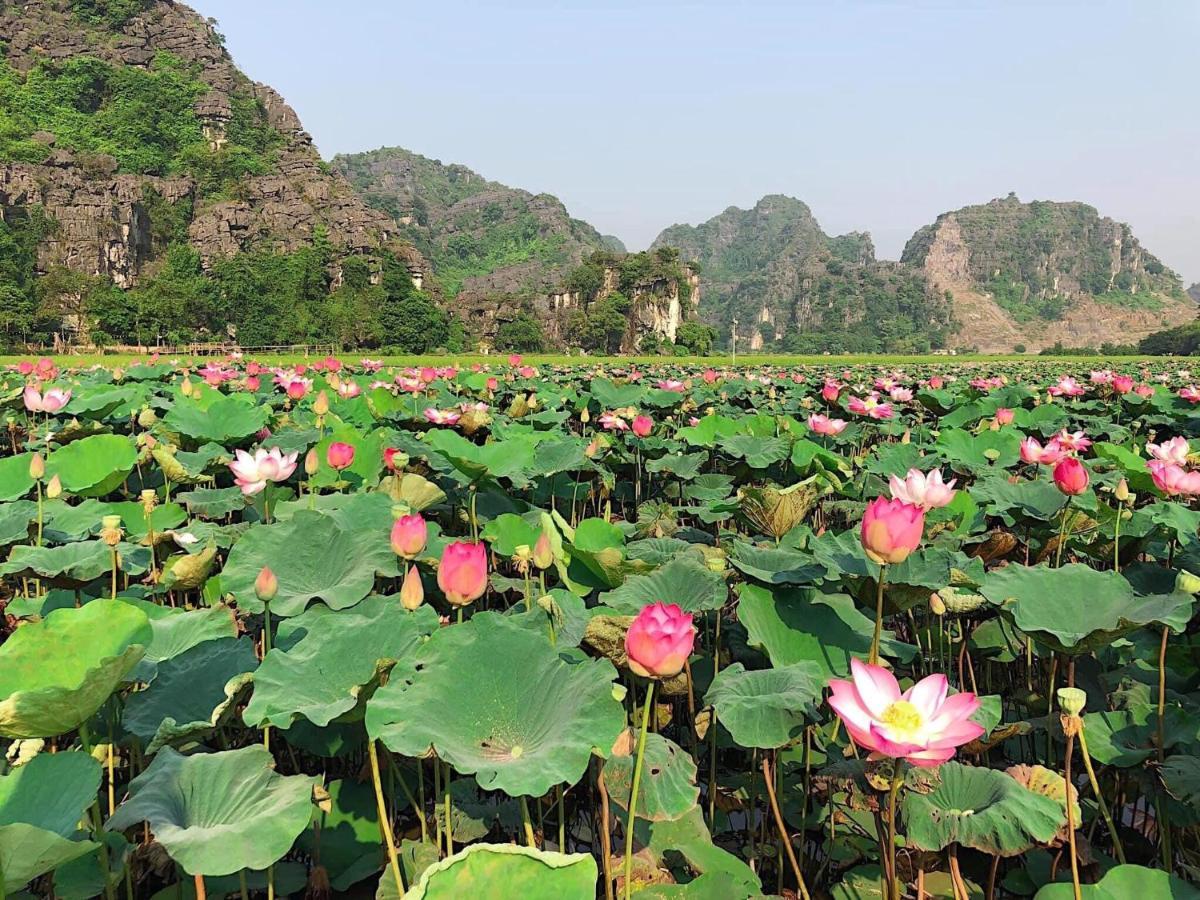 Tam Coc Heart Homestay 닌빈 외부 사진